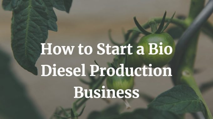 here is a complete guide to start a bio diesel production business