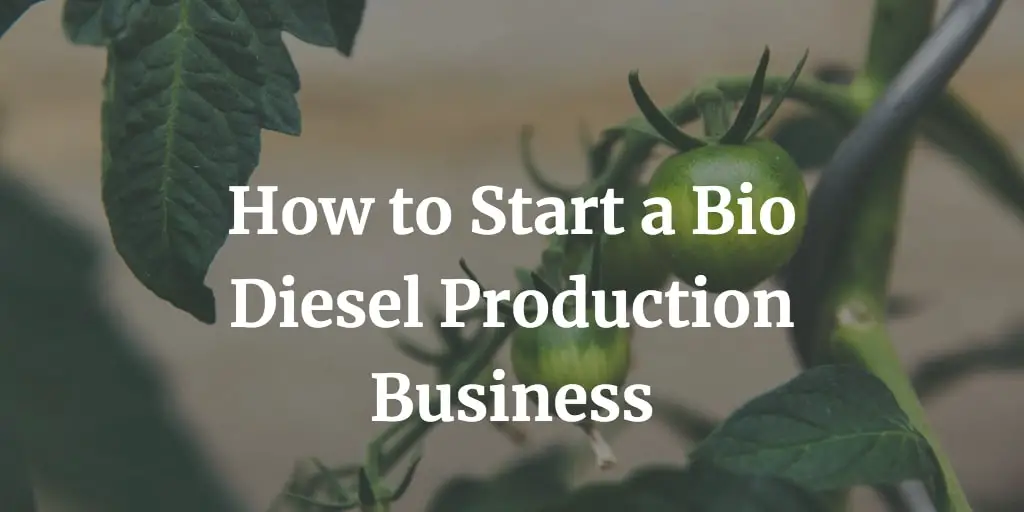 here is a complete guide to start a bio diesel production business