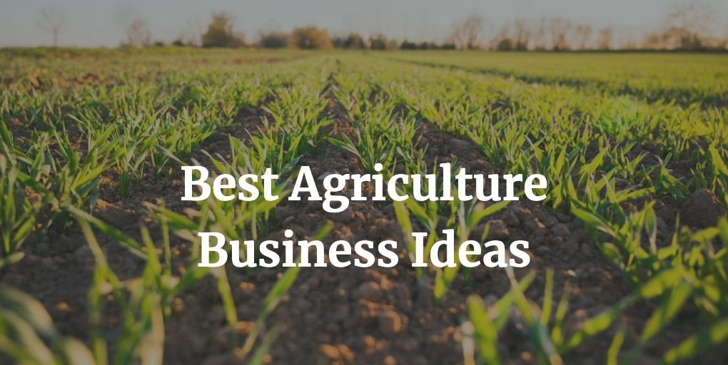 best agriculture business ideas