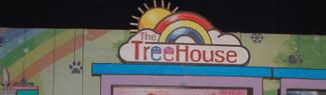 tree house play school franchise