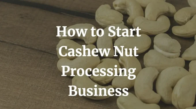 how to start cashew nut processing business