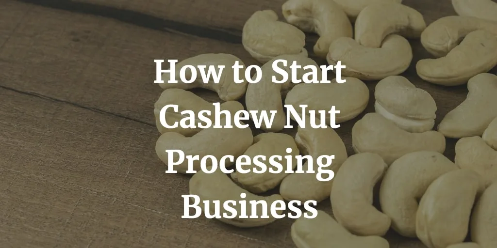 how to start cashew nut processing business
