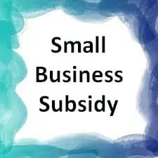 unemployed youth, Government Subsidy For Small Business