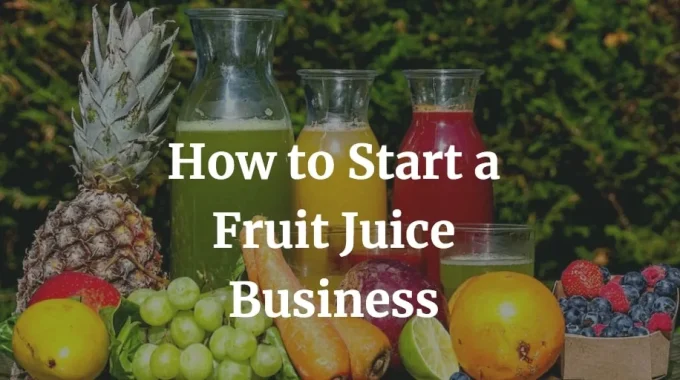 how to start a fruit juice business