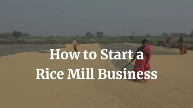 how to start rice mill business