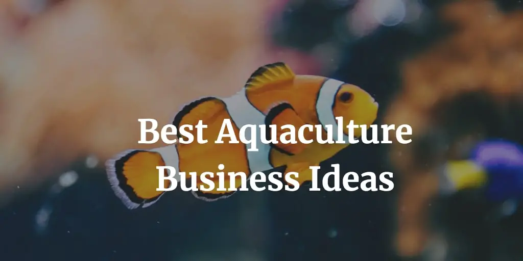 list of the best aquaculture business ideas