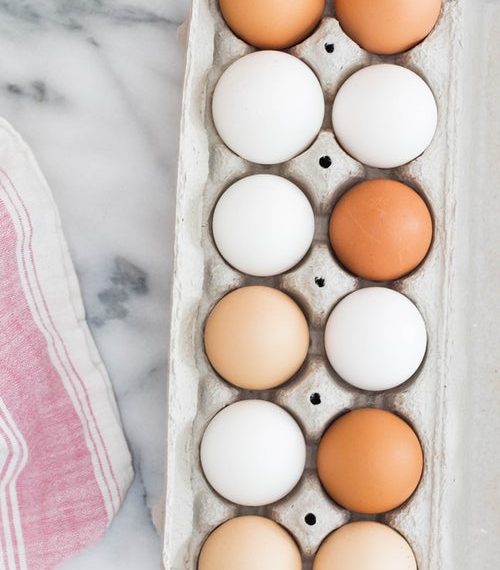 How to Start Egg Tray Manufacturing Business NextWhatBusiness