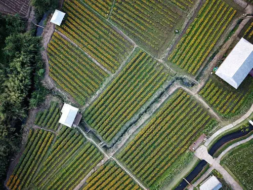 irrigation business ideas