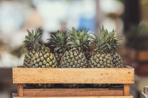 best pineapple business ideas