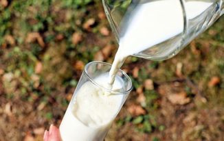 milk processing business ideas