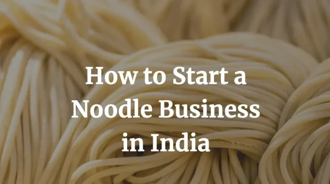 how to start a noodle business in India