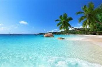 how to start travel agency business