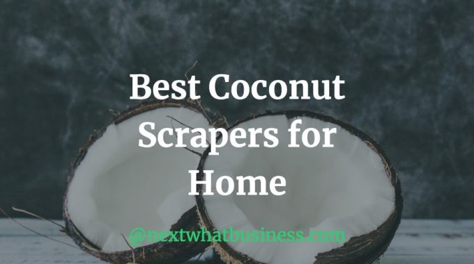 best coconut scrapers in India