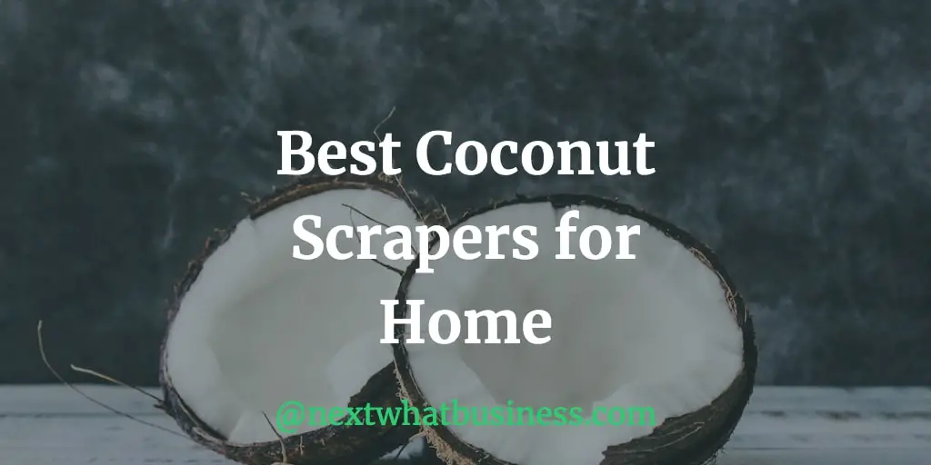 best coconut scrapers in India