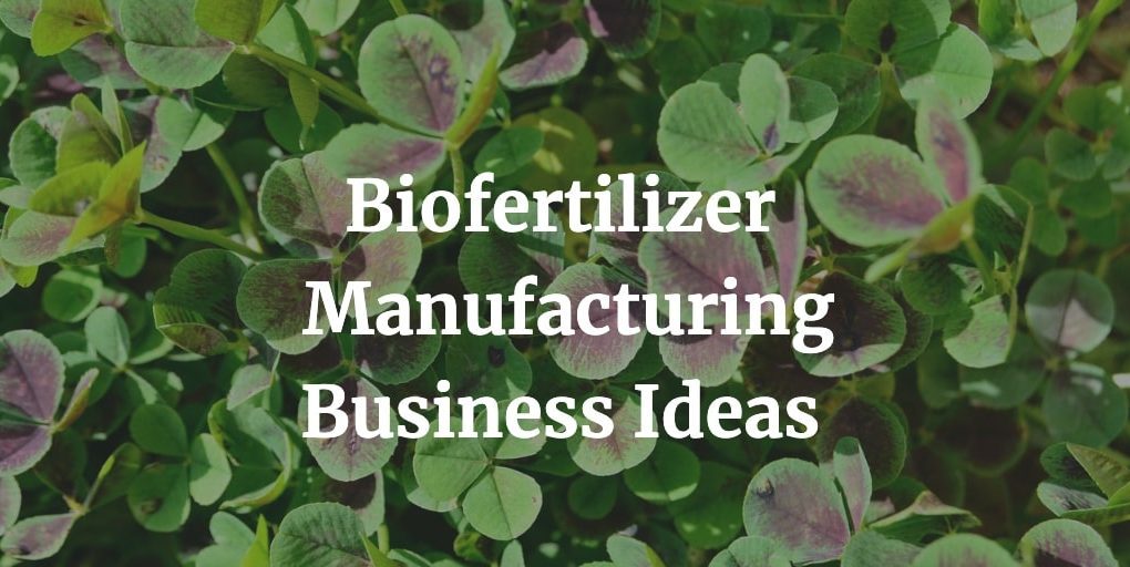 best biofertilizer manufacturing business ideas