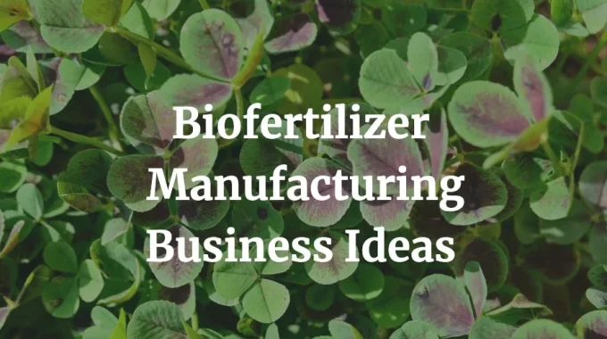 best biofertilizer manufacturing business ideas
