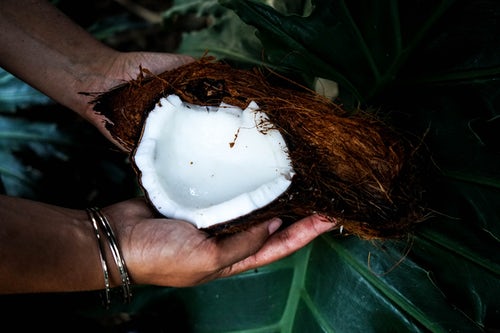 coconut powder manufacturing