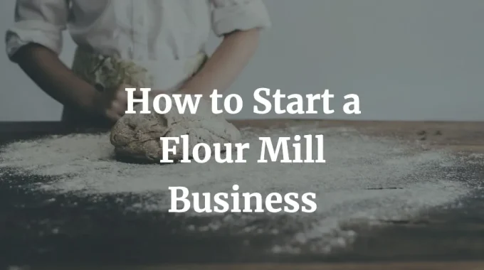 how to start a flour mill business