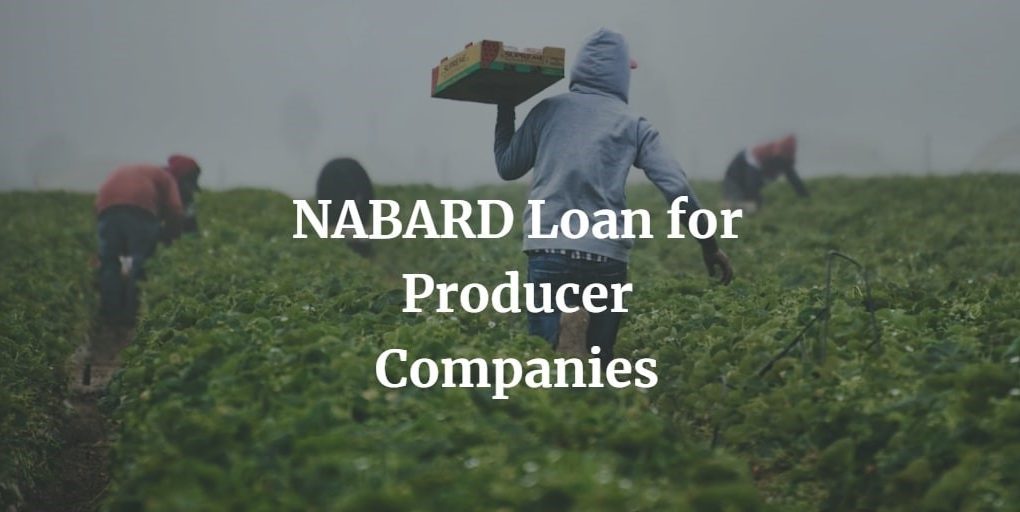 nabard loan for producer companies
