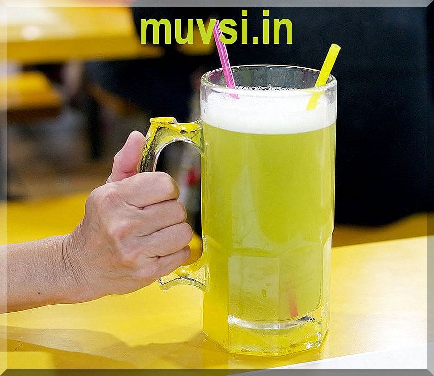 How to Start Sugarcane Juice Business Equipment, Proposal Guide