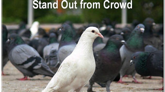 Unique Business Ideas