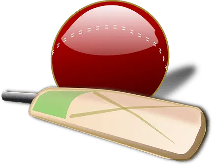 Cricket Bat Making Business Plan Sample Checklist
