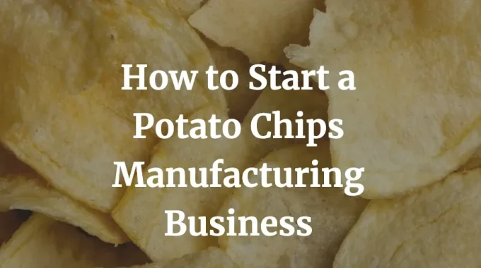 how to start a potato chips manufacturing business