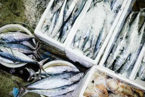 fish farming business ideas
