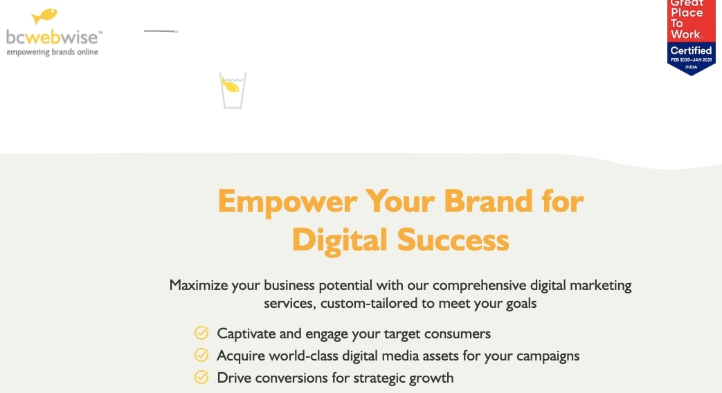 bc web wise digital marketing agency