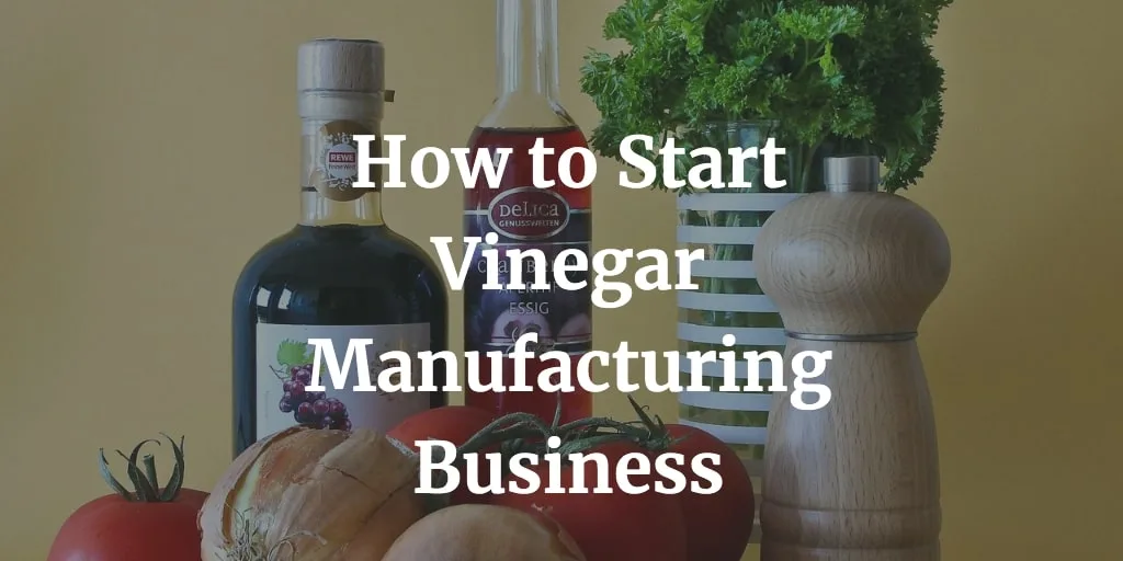 how to start vinegar manufacturing business