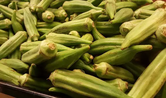 okra cultivation guide