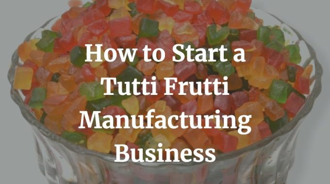 how to start a tutti frutti manufacturing business
