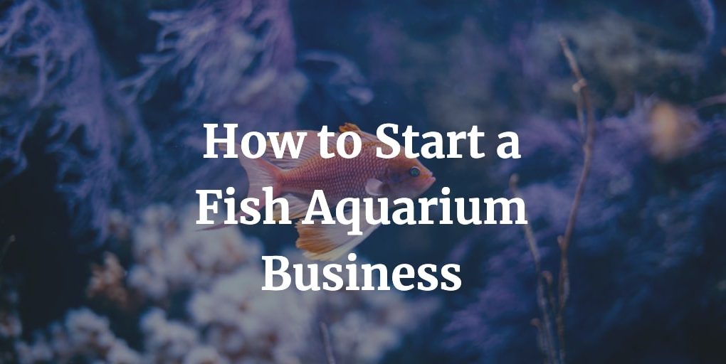 how to start a fish aquarium