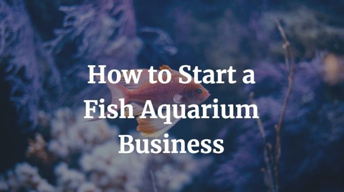 how to start a fish aquarium