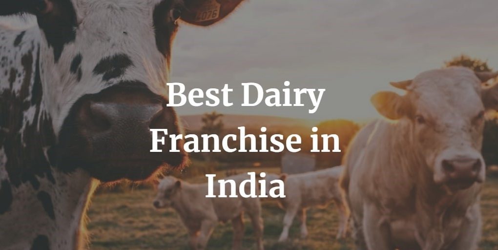 best dairy franchise in india