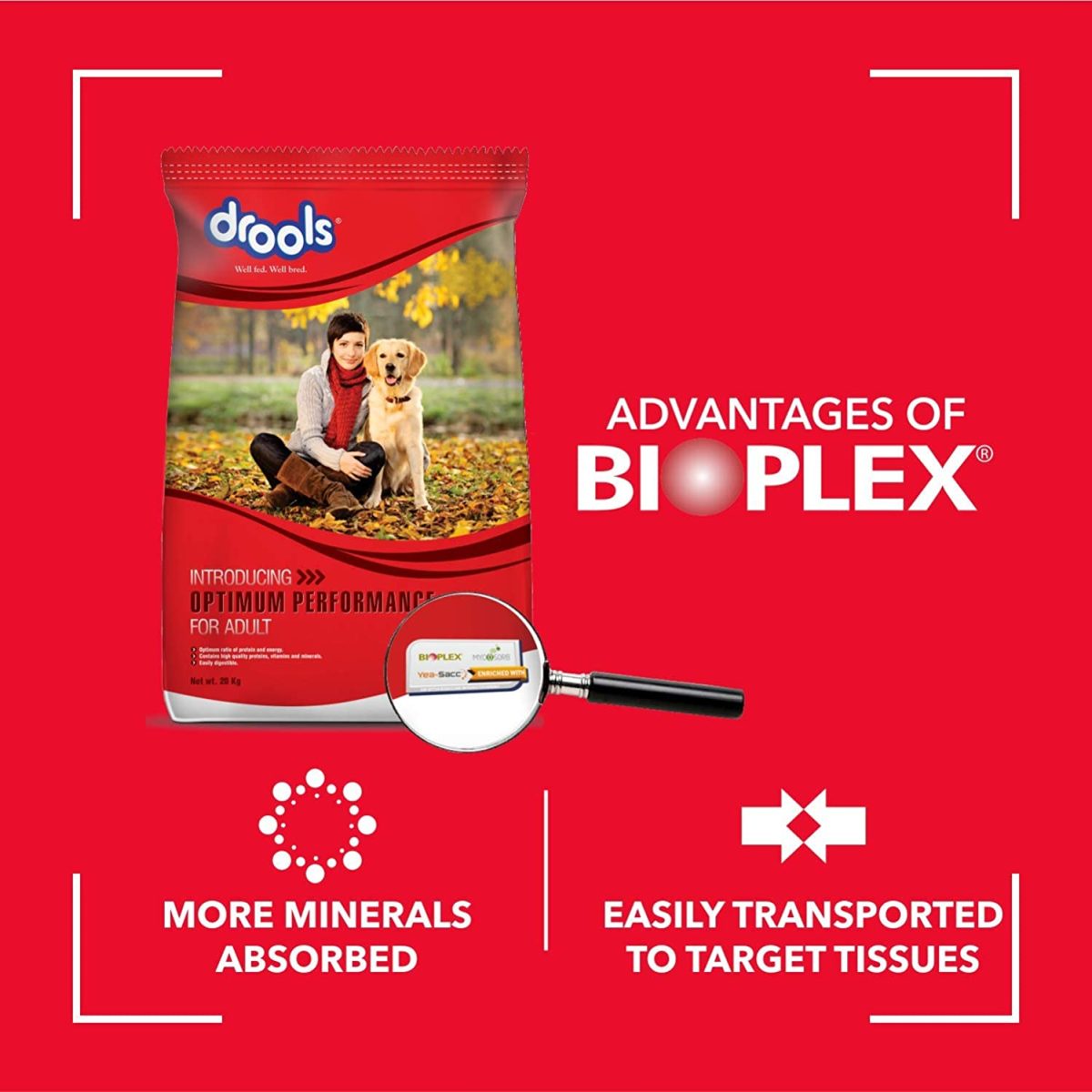 drools dog food in India