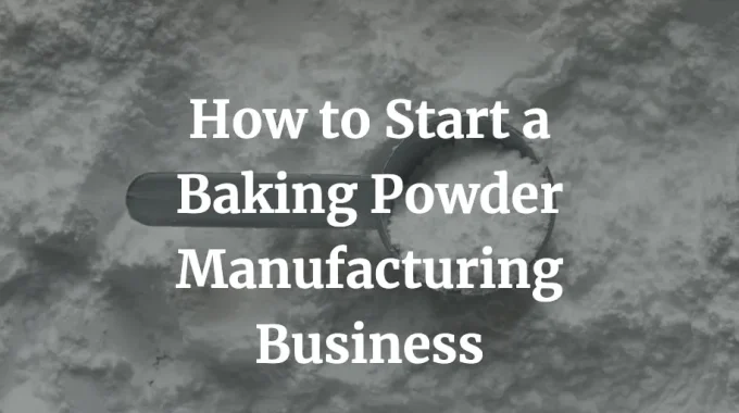how to start a baking powder manufacturing business