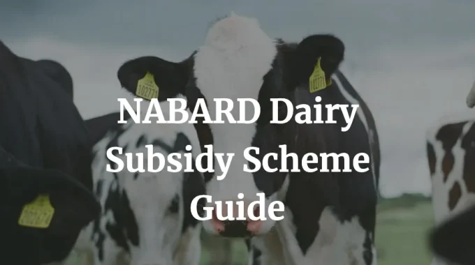 nabard dairy subsidy scheme guide