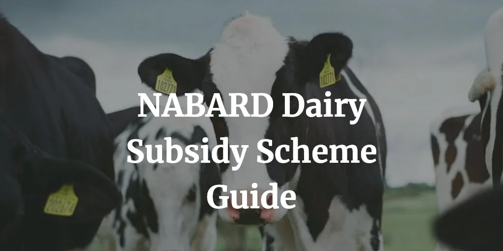 nabard dairy subsidy scheme guide