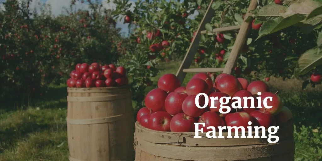 organic farming