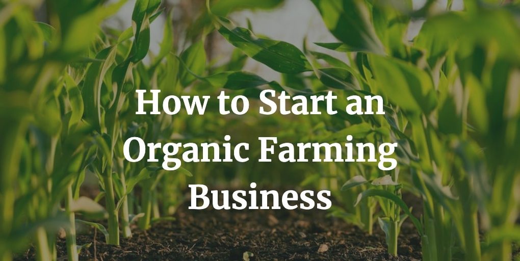 how to start an organic farming business