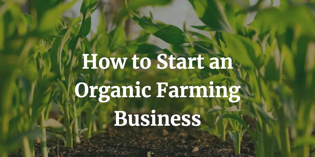 How to Start Organic Farming Business in 11 Steps