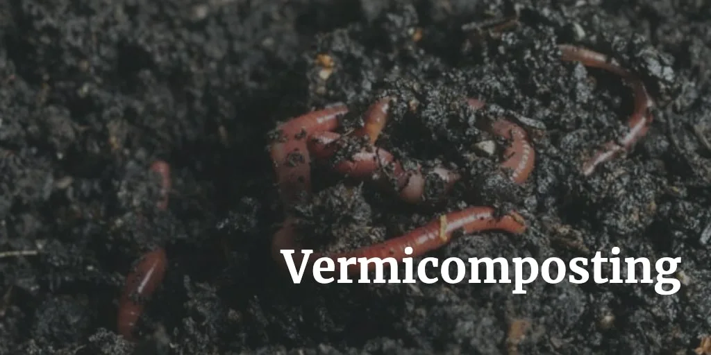 vermicompost fertilizer