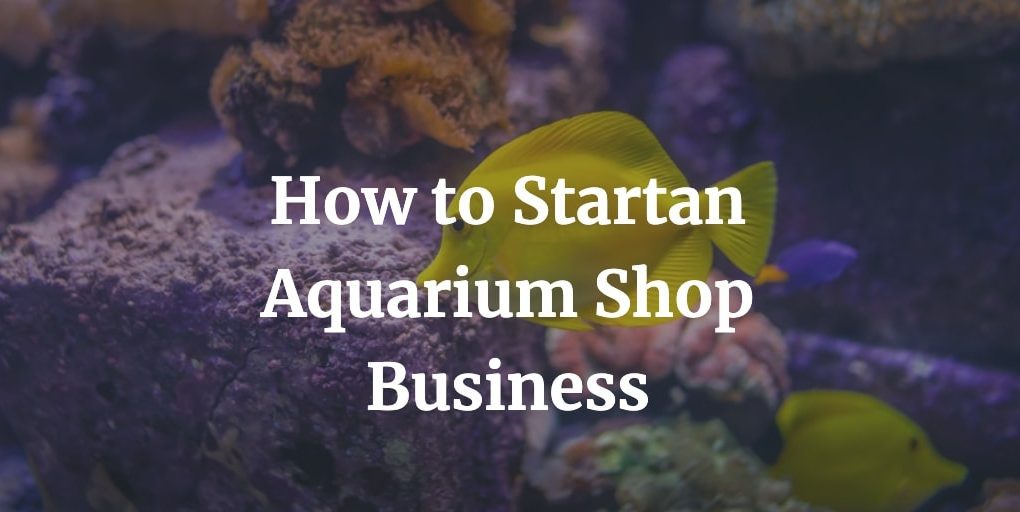 how to start an aquarium shop business