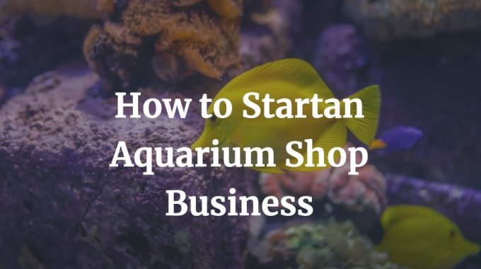 how to start an aquarium shop business