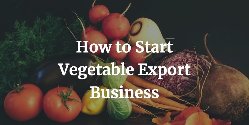 how to start a vegetable export business in India