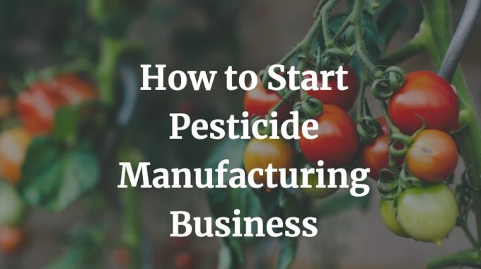 how to start pesticide manufacturing business