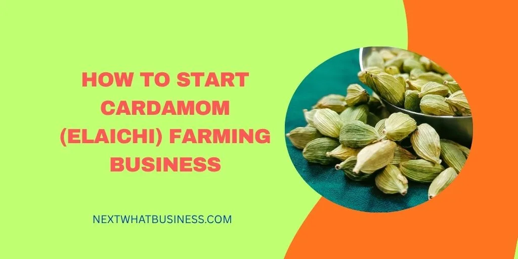 how to start elaichi or cardamom farming business