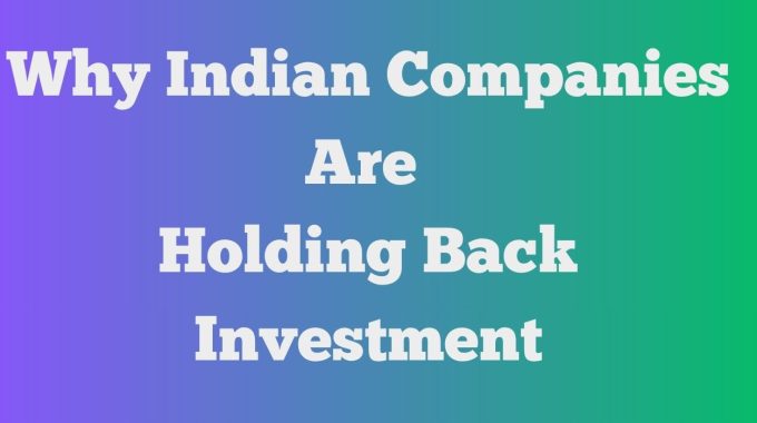 why Indian companies are sitting on cash instead of investing in 2026